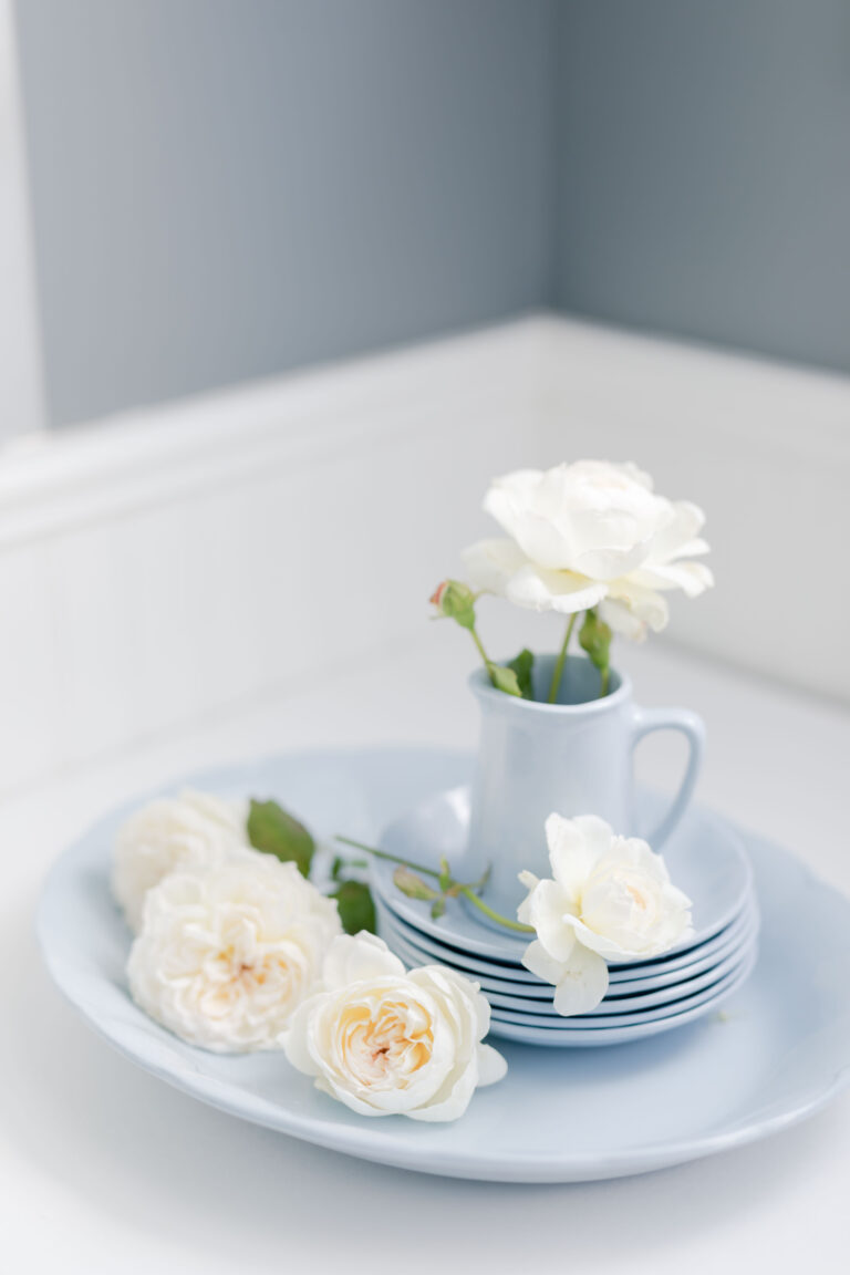 French blue and White Roses