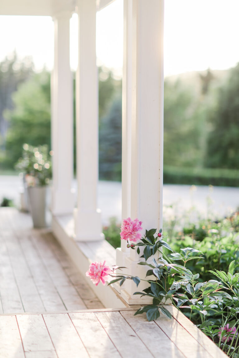 Stories from my front porch