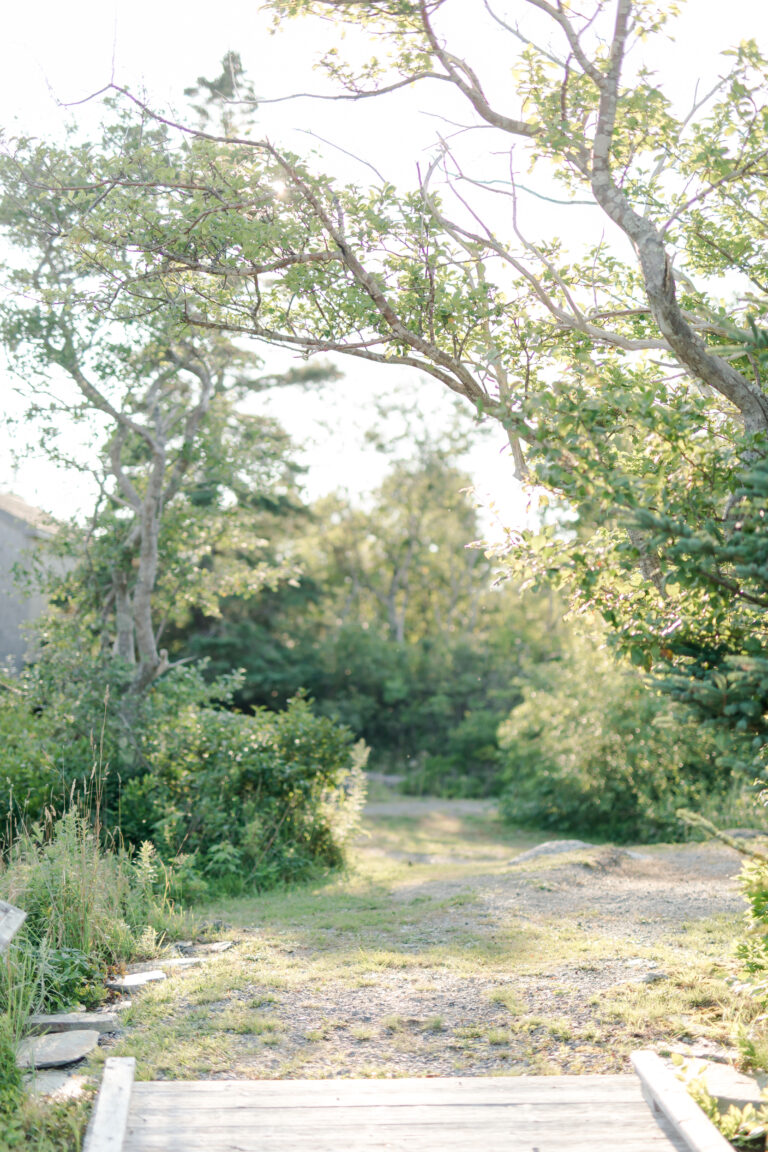 Taking time to rest when life feels chaotic